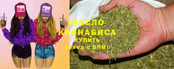 скорость Каменка